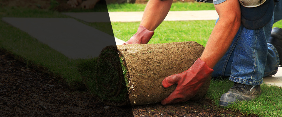 Warm Springs Landscapers